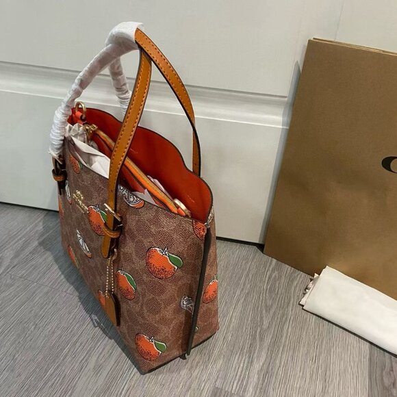 COACH Teri  Bag, Size 25cm - Picture 6 of 9